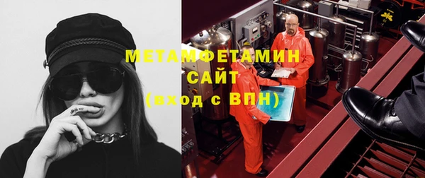 прущие грибы Балахна