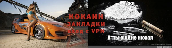 прущие грибы Балахна