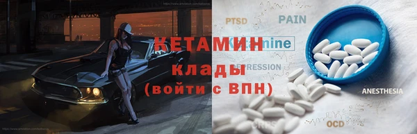 прущие грибы Балахна