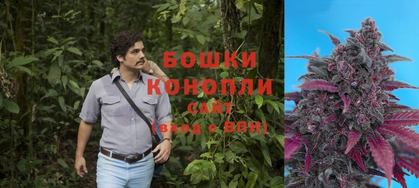 прущие грибы Балахна