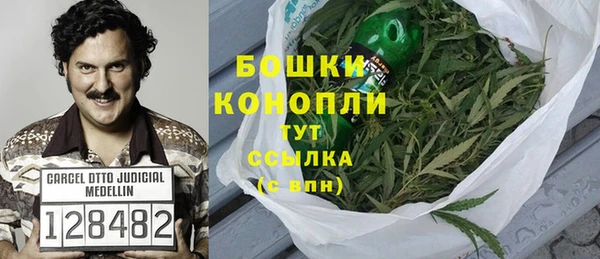 прущие грибы Балахна