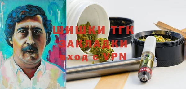 прущие грибы Балахна