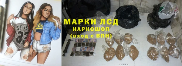 прущие грибы Балахна