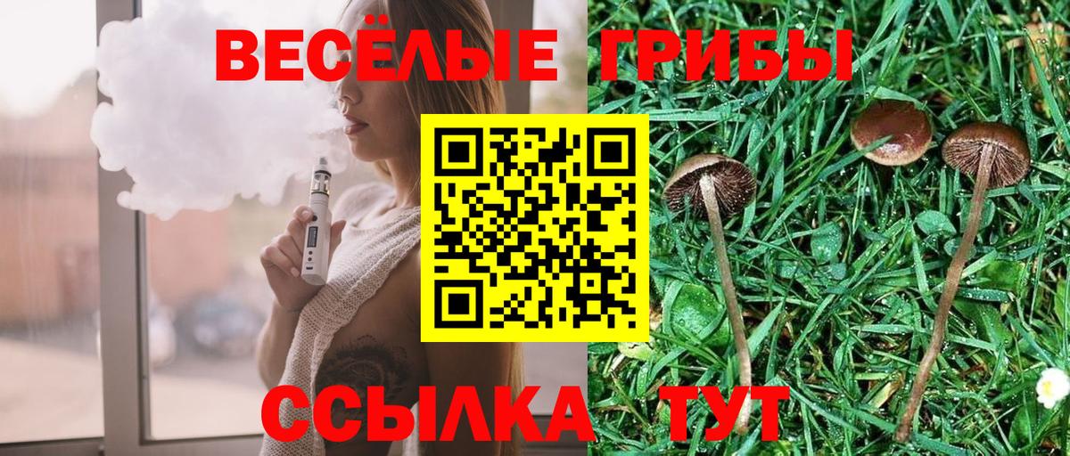 где купить   Вход с VPN  Горно-Алтайск  Псилоцибиновые грибы Psilocybine cubensis  Псилоцибиновые грибы мицелий 
