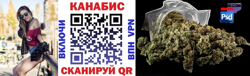где купить наркоту  Горно-Алтайск  Конопля сатива 